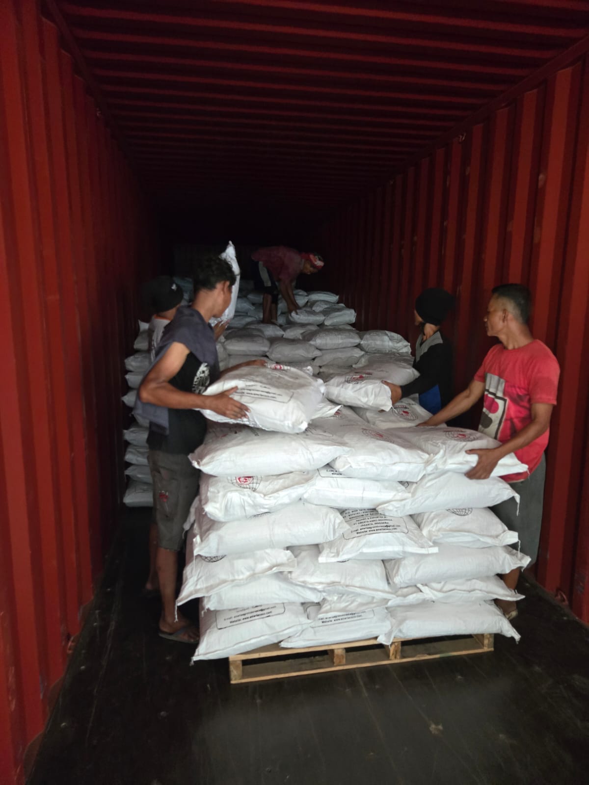Jasa Kirim Barang ke Luar Negeri: Panduan Lengkap Pemula